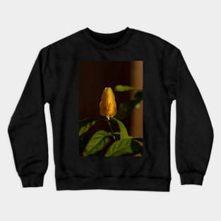 Golden Shrimp Pachystachys lutea Crewneck Sweatshirt